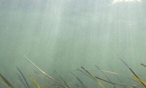 22 AGP 0303 AM MI JT PV LK responses Page 1