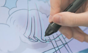 BMA video stills 02 ECU 2019 07 25