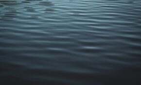 Ryan stone P Xjtbumu J Ks unsplash