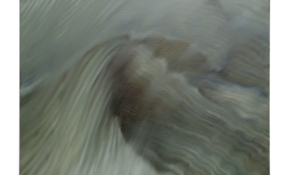 No Use in a Centre 2021 16 x 20 inches