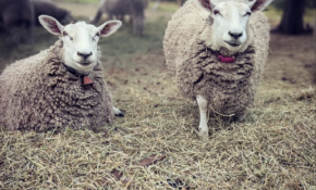 Screenshot 2023 10 12 at 9 49 42 AM